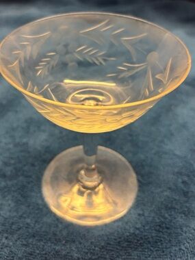 🗝️Vintage Sherbet Champagne Coupe Goblet With Etched Glass Detail